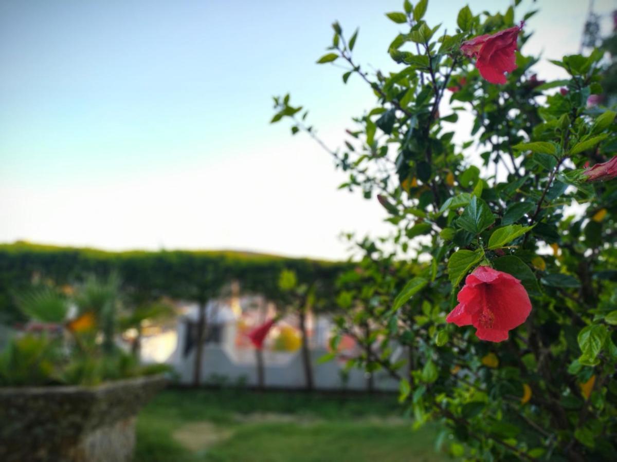 Yalcin Hotel Çeşme Εξωτερικό φωτογραφία