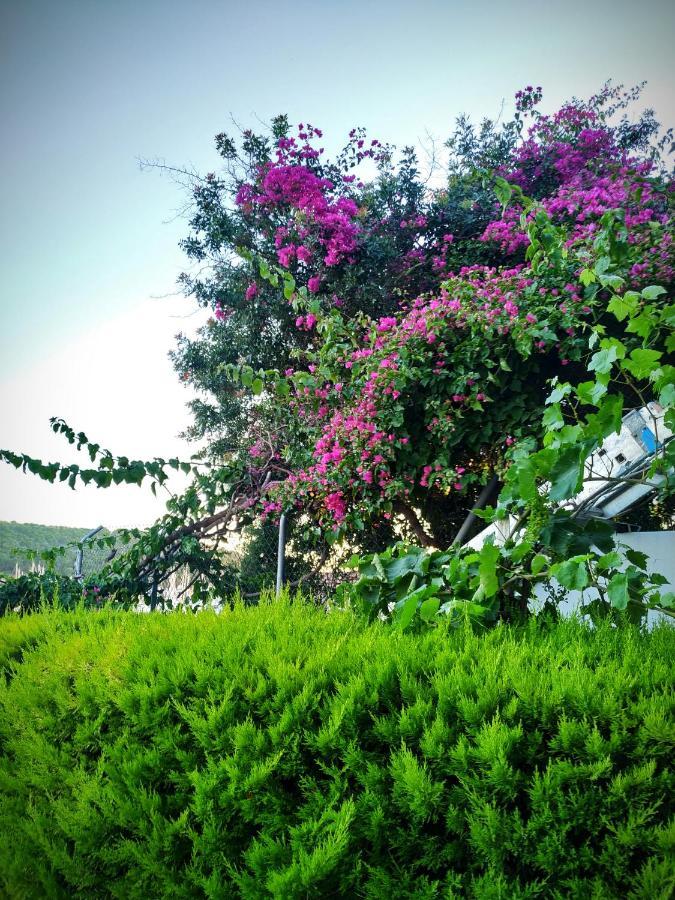 Yalcin Hotel Çeşme Εξωτερικό φωτογραφία